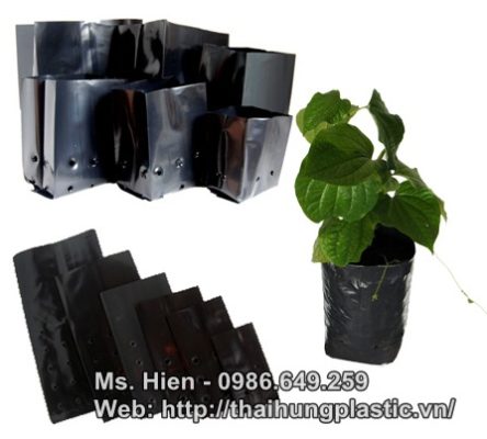tui-nilon-uom-cay Túi nilon ươm cây giá rẻ