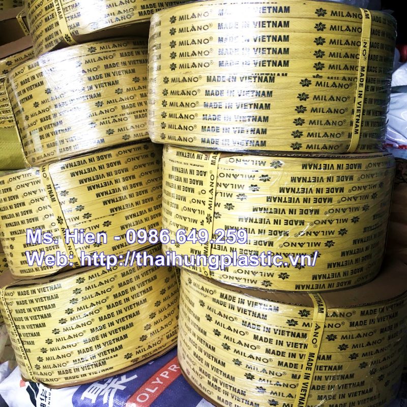 In dây đai nhựa PP